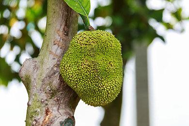 外媒用AMD集显玩《战神4》 结果能流畅运行